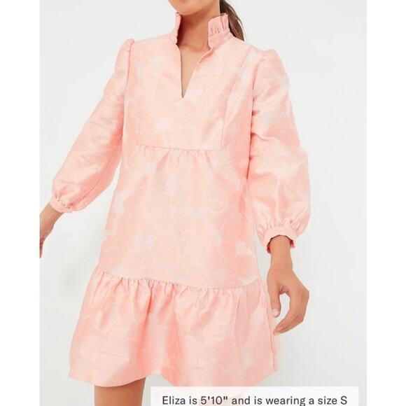 Tuckernuck Dresses & Skirts - TUCKERNUCK Bellini Fil Coupe Palmerston Dress NWT Size XS